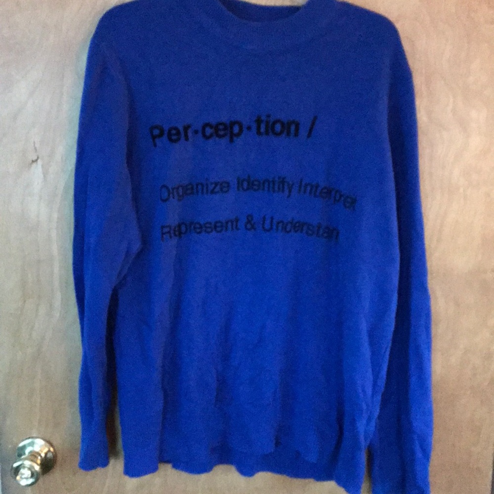 H&M perception blue knit sweater represent XL